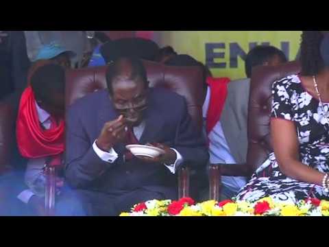 Mugabe birthday bash riles critics in drought-hit Zimbabwe