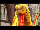 Thousands mark Lunar New Year in London