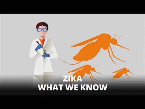 Zika: UK expert tells you all you need to know