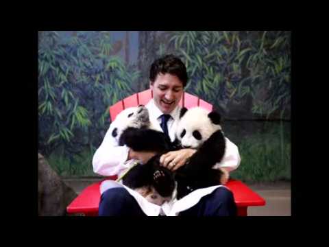 Canada's Trudeau unveils the names of giant pandas at Toronto Zoo