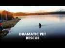 Dramatic drone footage: Dog rescued from frozen lake