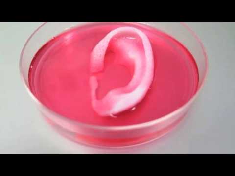 Researchers 3D print living tissue