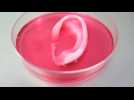 Researchers 3D print living tissue
