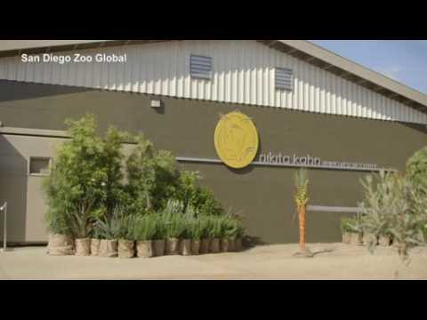 Rhino rescue center opens in San Diego