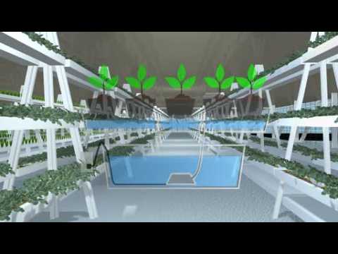 Solar powered floating farms could help feed the world