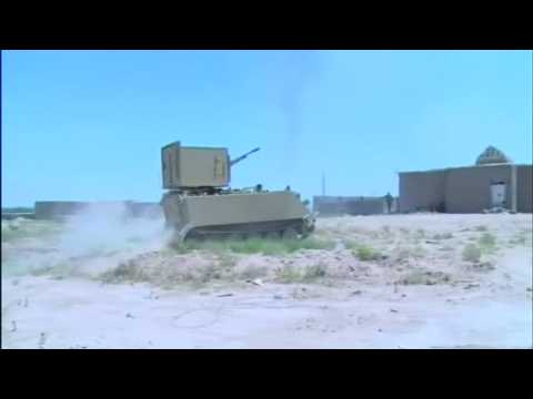 Iraqi army pause at southern edge of Falluja