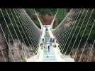 Dramatic safety tests for glass-floor bridge