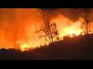 California wildfire destroys 100 homes