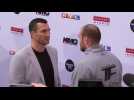 Fury says Klitschko rematch postponed