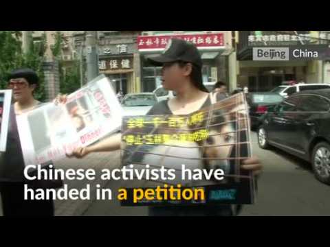 Chinese protesters deliver biggest ever petition against Yulin's dog meat festival