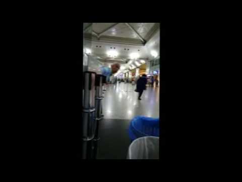 Amateur videos show Istanbul airport shortly after attack