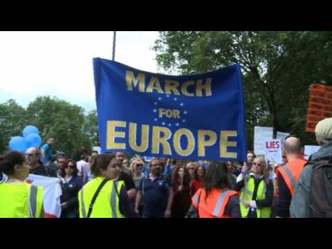 Brexit protesters take to streets of London (2)