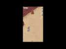 Vidéo Rodeo Stampede - Gameplay Vidéo Rodeo Stampede - Gameplay