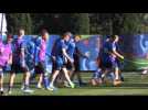 Hungary, Iceland prepare for Euro 2016 match