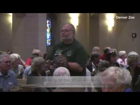 Denver Zoo animals blessed at church ceremony