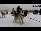 Russian Iditarod? 96-Mile Dog Sled Race Kicks Off on Frozen Lake Baikal
