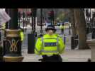 Police shoot man in UK parliament 'terror' attack
