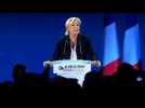 French vote: Le Pen calls on "sincere patriots" to join her - Label : AFPTV - First images - Category : News