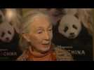 Dame Jane Goodall Weighs in on 'Born In China'