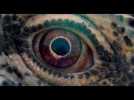 Voyage of Time : Au Fil de la Vie - Bande Annonce - Label : Trailers - Category : Cinéma