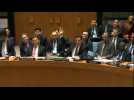 Russia vetoes UN draft resolution on Syria gas attack probe