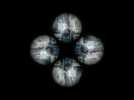 Vidéo GHOST IN THE SHELL - Holoquad - vidéo 1 Vidéo GHOST IN THE SHELL - Holoquad - vidéo 1