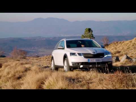 Skoda Octavia Scout Driving Video Trailer | AutoMotoTV