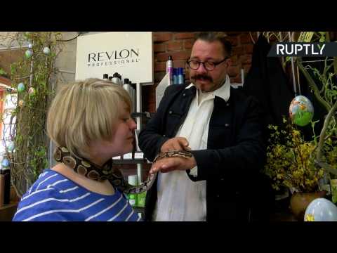 German Hair Salon Offers Rare Treatment for Customers - Snake Therapy!
