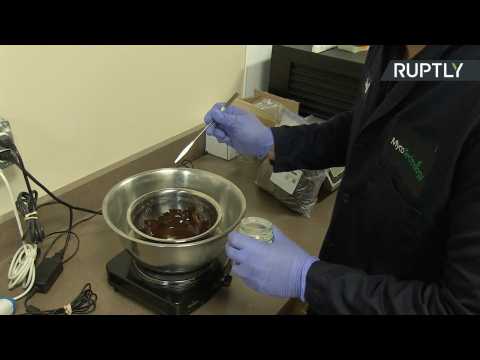 'Bitter Blocker' Mushroom Extract Keeps Chocolate Sweet with Half the Sugar