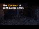 Series of earthquakes cause widespread damage in Italy