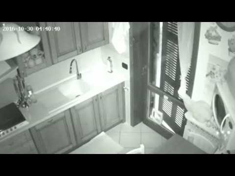 Amateur videos show homes rattling during new quake