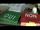 I.Coast votes on divisive new constitution - Label : AFPTV - First images - Category : News
