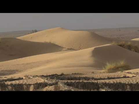 Morocco's oases fight back creeping desert sands