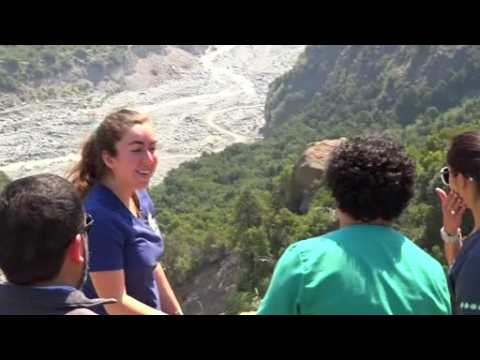 Majestic Andean condor released in Chile