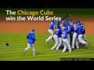 Chicago Cubs celebrate World Series victory
