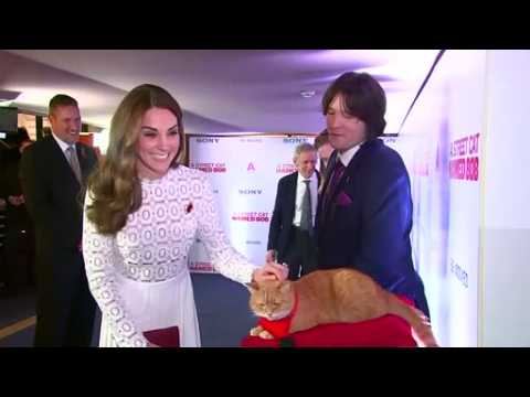 Duchess meets movie-star cat, animals go wild