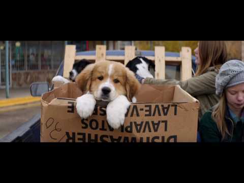 A DOG'S PURPOSE - OFFICIAL UK TRAILER [HD]