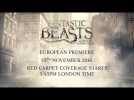 Fantastic Beasts And Where To Find Them: Live European Premiere from London