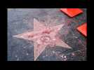 Trump's Hollywood star vandalized
