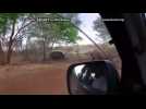 White rhino freed from car tyre