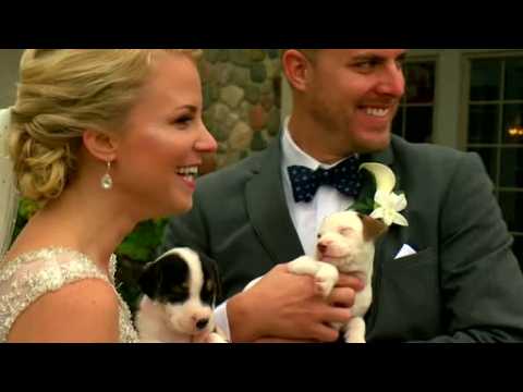 Puppies at wedding, starlings dazzle Denmark sky