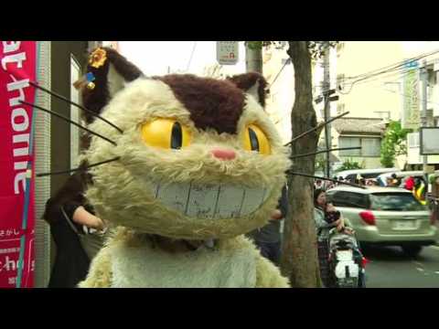 Feline fans gather for Tokyo’s cat festival