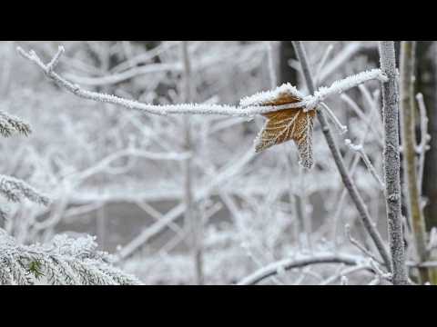 8 fascinating facts about frost and snow