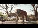 The Jungle Book - The Legacy - Official Disney | HD