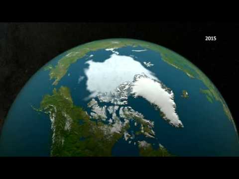 Arctic sea ice dips to record low: NASA