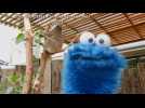The cookie monster of Sesame Street wishes Taronga Zoo a Happy 100th Birthday