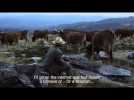 Volta a Terra - Trailer - Label : Trailers - Category : Cinéma
