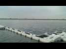 Europe's largest floating solar farm powers up