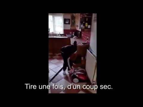 Le fonctionnement d'un aspirateur est un mystère pour ce garçon