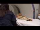 300-year-old mummies undergo virtual autopsy in California